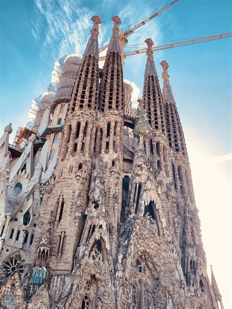 which tower to visit sagrada familia